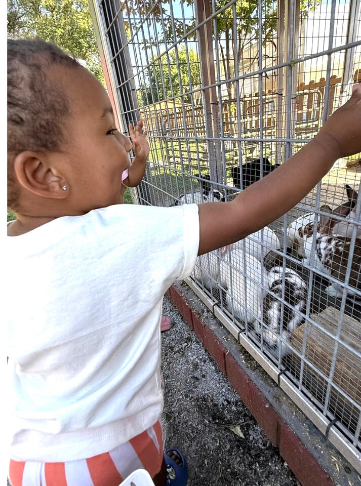 Learning Beyond the Classroom π° Young child enjoying an outdoor animal experience during an outing with Advanced Childcare Services LLC